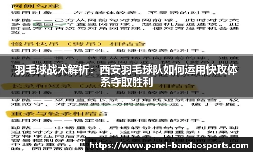 羽毛球战术解析：西安羽毛球队如何运用快攻体系夺取胜利