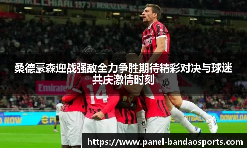 半岛体育官方网站